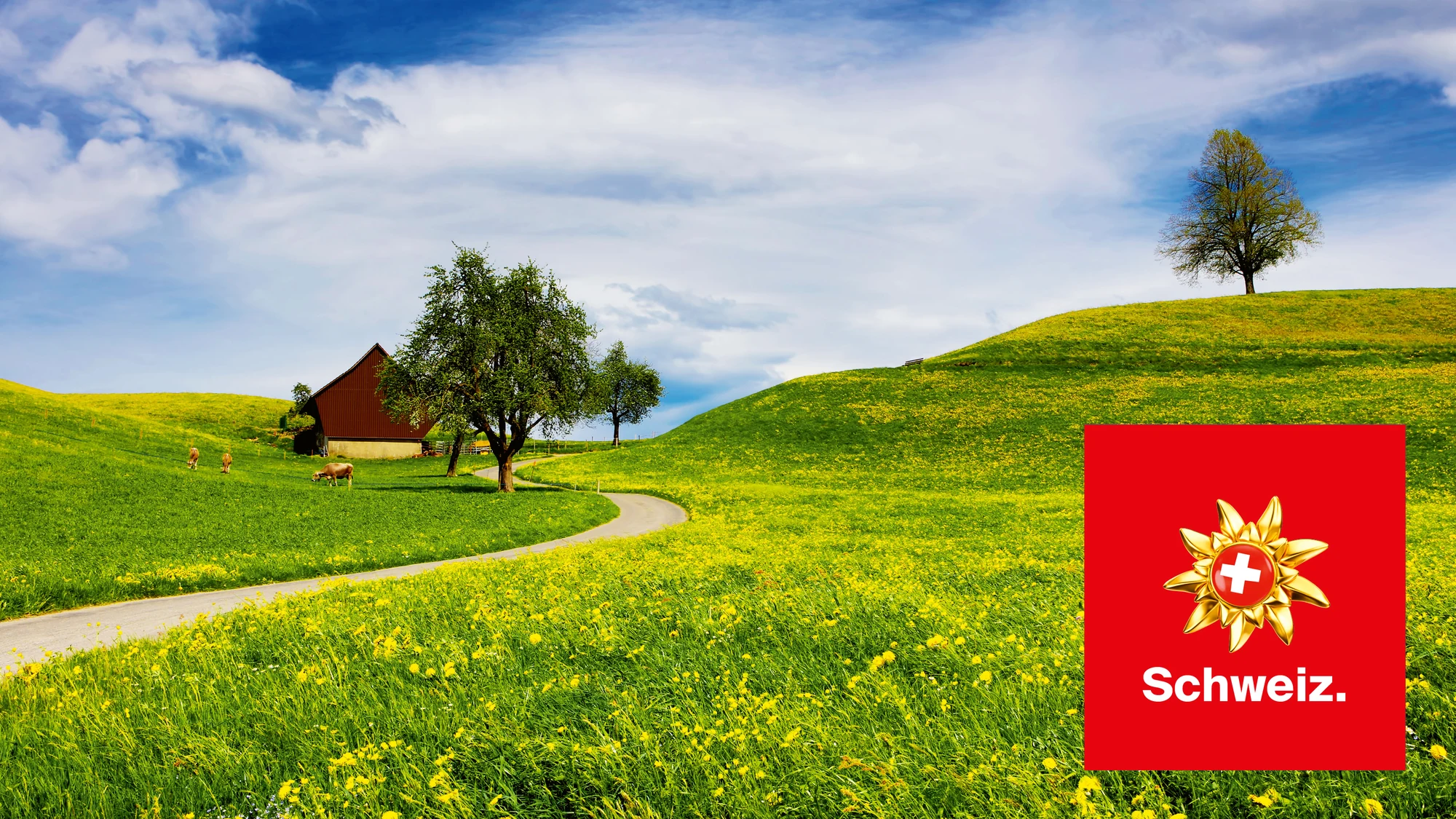 Frühlingslandschaft mit Bauernhaus und rotem Schweiz-Logo in der Ecke
